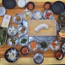 선미돈돌이
