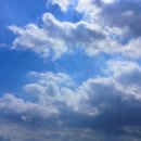 주)푸르네 이미지