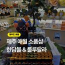 이쁜개 애견샵 | 제주 소품샵 기념품샵 추천 애월 카페거리 한담몰 룰루랄라