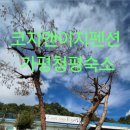 코지앤이지
