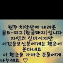 일화방 이미지
