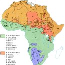 아프리카 이미지