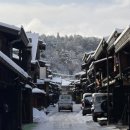 빨간다리 이미지