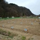 팔현농장 이미지