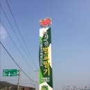 보성녹차미인 이미지