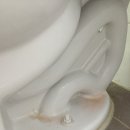 스센 이미지
