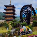 태화초등학교 | 🔥 놀라운 김천김밥축제 2025 완벽 가이드 | 10만명 몰린 대박 축제 총정리! (일정·주차·꿀팁)