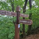 도대1리 마을회관 이미지