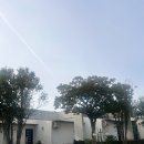 스테이낭 이미지