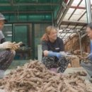 감로농장 이미지