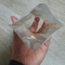 다정부부한의원 이미지