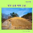 영주 순흥 벽화 고분 | 영주 가볼만한 곳 - 영주 순흥 벽화 고분