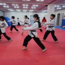 용인대 석사 대호태권도 이미지