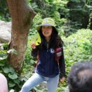 도래재자연휴양림(밀양) 이미지