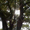 온지스튜디오