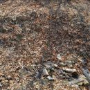 강화중성 이미지