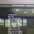 입춘방 建陽多慶 유감/ 김세창 이미지