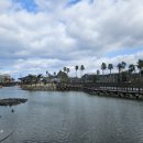 제주파크장 이미지