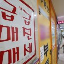 전액 대출로 '강남 아파트 쇼핑'…중국인 집주인 넘쳐난다 이미지