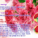 은혜비누 이미지