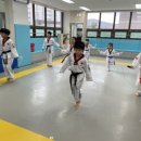 태아일체 라온태권도장 네이버블로그
