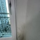 동신개나리아파트경로당 | 도배 천장 초배 꼭 해야할까? 전주 도배업체 실제 시공후기