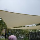 카페 반월 이미지