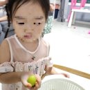 삼정농원 이미지