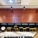 오픈독하우스 이미지