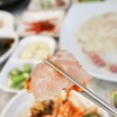 감포참가자미식당 | 경주 감포 현지인 회 맛집 감포항 참가자미 물회 바다회식당