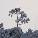 오후반 이미지