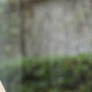 감성한의원 이미지