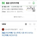 아브뉴프랑 옐로우 이미지