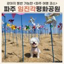 평화1어린이공원 | 파주 여행 임진각평화누리공원 애견 동반 후기