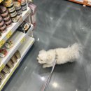 CU행신두신점 | 5 月/ 깅잉잉씨의 입대