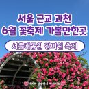 꽃만발Craft.p | [국내]서울 근교 과천 6월 꽃축제 가볼만한곳 서울랜드 테마가든(요금/주차/가는법)| 서울대공원 테마...