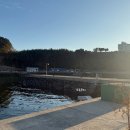 민박어항 이미지