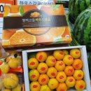 내고을마트