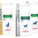 박성준 동물병원 이미지