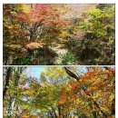 존자암지 이미지