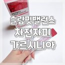 밸런스 핏 | 다이어트보조제 차전자피 추천 슬림핏밸런스 차전자피 가르시니아 후기
