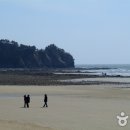 백사장해수욕장 Daum카페