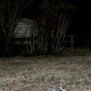 브레드유스 | 미국일상 :: 1월 3