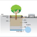 나무엔지니어링 이미지