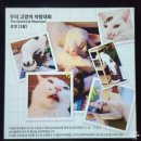 깨미정보센타 | [ 국립민속박물관 ] 요물, 우리를 홀린 고양이 : 전시후기 / 냥집사인데 안 갈 수가 없지 ( 2024.5.3.금...