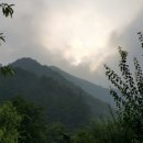 시골풍경 Daum카페