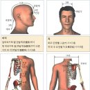 경락 경혈 지압 통증케어 퓨리톤 이미지