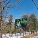 백두여행사 | [강원도 여행] 설 연휴 뒤, 언니와 함께한 낭만 가득 '백두대간 협곡 열차' 당일치기 눈꽃 여행