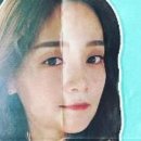 우연히봄 네이버블로그