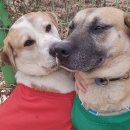 유예농장 이미지